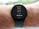 Samsung Galaxy Watch FE