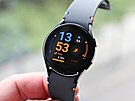 Samsung Galaxy Watch FE