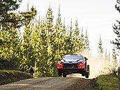 Estonec Ott Tänak jede Chilskou rallye.