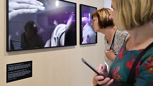 T�m�� 500 fotografiemi mapuje retrospektivn� v�stava ve Veletr�n�m pal�ci...