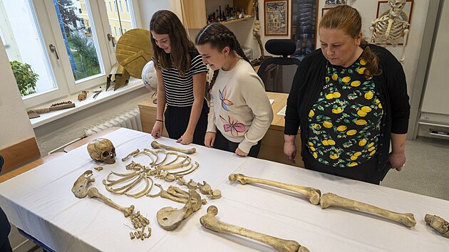 ��ci Z� UNESCO v Uhersk�m Hradi�ti zkoumaj� skute�nou lidskou kostru, kter� slou�ila jako pom�cka v p��rodopisu. Na sn�mku vpravo odborn� asistentka Fyziologick�ho �stavu L�ka�sk� fakulty MU Brno Miriam N�vltov� Fi��kov�, kter� v�zkum povede. (z��� 2024)