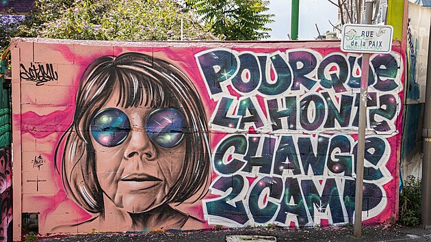 Graffiti na motivy p�ípadu z francouzského Mazanu, kde d�chodce Dominique...