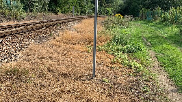 Chemick� post�ik Roundup je st�le pou��v�m k huben� plevel�. Mnoho lid� si v�ak mysl�, �e je lep�� zbavovat se plevel� horkou p�rou. (20. z��� 2024)