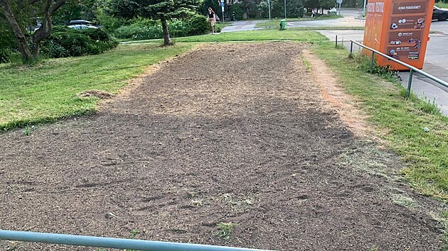 Chemick� post�ik Roundup je st�le pou��v�m k huben� plevel�. Mnoho lid� si v�ak mysl�, �e je lep�� zbavovat se plevel� horkou p�rou. (20. z��� 2024)