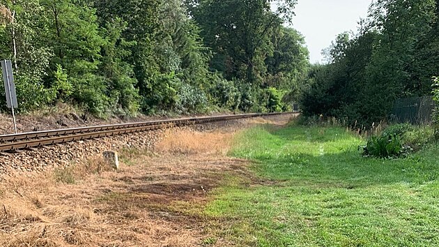 Chemick� post�ik Roundup je st�le pou��v�m k huben� plevel�. Mnoho lid� si v�ak mysl�, �e je lep�� zbavovat se plevel� horkou p�rou. (20. z��� 2024)