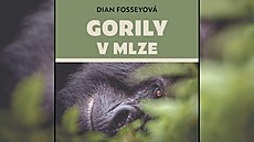 Gorily v mlze