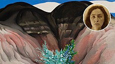 Malí�ka Georgia O�Keeffe