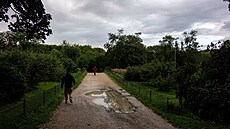 Cesta mezi Pa�í�skou univerzitou Dauphine a Boulo�ským lesíkem. (23. zá�í 2024)