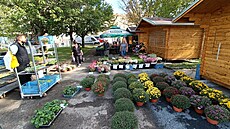 Vyskládané kvtiny ped novými, zavenými stánky, kam se nabízené kvtináe...