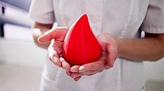 ilustra�ní snímek