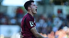 Sparanský obránce Martin Vitík slaví svj gól v utkání proti eským...