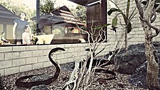 V novém pavilonu zlínské zoo nazvaném Nusantara. budou k vid�ní mimo jiné plazi.