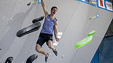 Nadený Adam Ondra zdolává bhem Svtového poháru na praské Letné tetí...