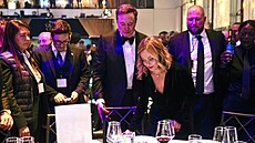 Americký podnikatel Elon Musk pedal cenu Global Citizen Award italské...