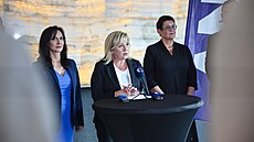 Zástupci jihomoravského ANO hodnotí své druhé místo v krajských volbách 2024....