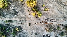 Zambijci závislí na zem�d�lství jsou suchem ohro�ení nejvíc. (12. kv�tna 2024)