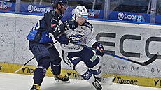 Souboj u mantinelu v utkání mezi Kometou Brno a Plzní.