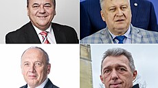 Vít�zové prvního kola senátních voleb za obvod Doma�lice: (horní �ada zleva)...