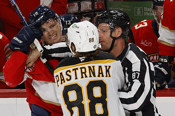 David Pastrák z Bostonu v potyce s Matthewem Tkachukem z Floridy.