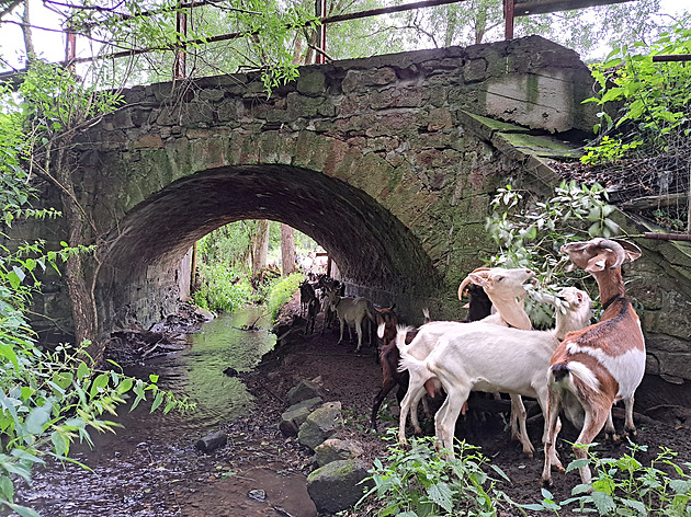 Mosty, které rozdělují. Historickým středočeským stavbám hrozí demolice