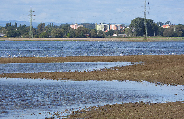 Pohled na lagunu na poli u Kojetína a Bezm�rova na P�erovsku
