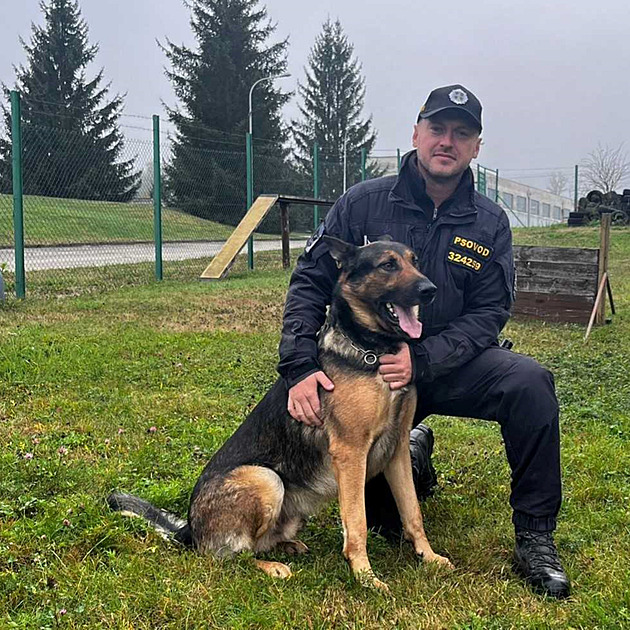 Dv� houba�ky ztracené v lesích v okolí Vyskytné na Pelh�imovsku vypátral...