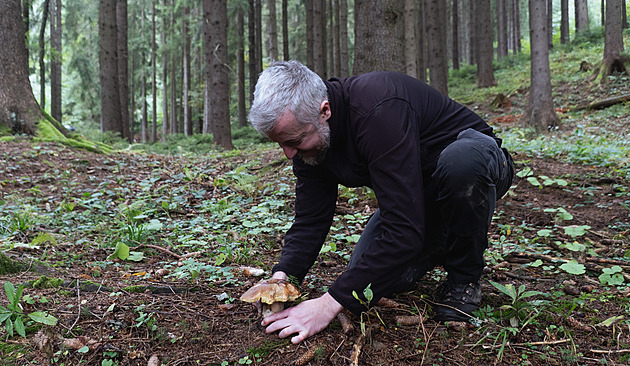 Sbr hub v lesích nedaleko Plotiny na Vizovicku.
