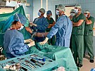 Lkask tm Ortopedick kliniky FNOL.