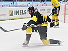 Litvínovský úto�ník Nicolas Hlava slaví gól proti �eským Bud�jovicím.