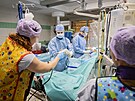 Kardiologov v Baov nemocnici zaali k lb fibrilace srdench sn...