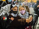 �védská aktivistka za klima Greta Thunbergová na propalestinské demonstraci v...