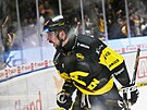 Nicolas Hlava slaví gól dp sít� �eských Bud�jovic.