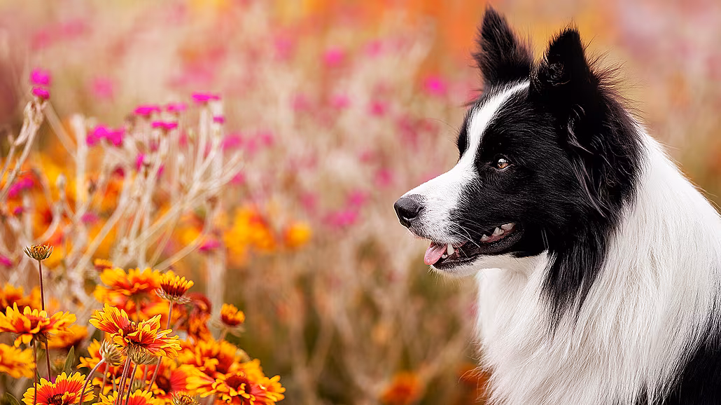 Ukázka prací Mariny Burianové