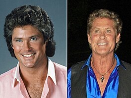 David Hasselhoff