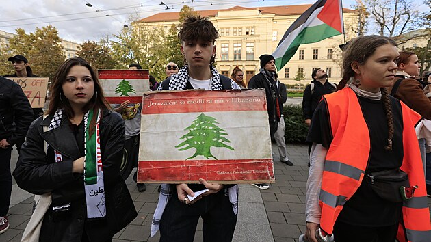 V Brn� se ve st�edu 9. ��jna 2024 konala demonstrace proti nekritick� podpo�e Izraele a za respektov�n� mezin�rodn�ho pr�va. Protest veden� kolektivem �Proti dehumanizaci� byl nam��en v��i Masarykov� univerzit�.