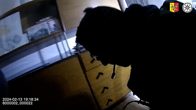 �e�t� kriminalist� po v�ce jak roce dopadli jednoho z nejv�t��ch celosv�tov�ch distributor� d�tsk� homosexu�ln� pornografie. (8. ��jna 2024)