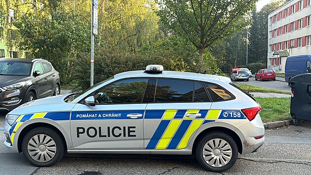 V pra�sk� �im�nkov� ulici majiteli utekli dva rotvajle�i a usmrtili jin�ho psa a pokousali jeho majitelku.