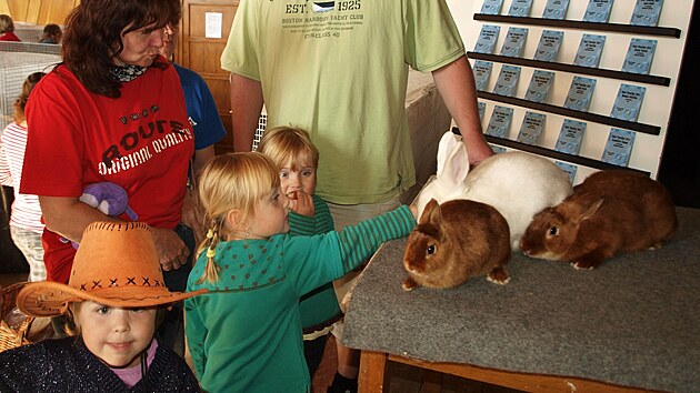 Tradi�n� V�stava Vyso�iny p�edstav� i letos to nejlep�� z chovu kr�l�k�, holub� �i dr�be�e.