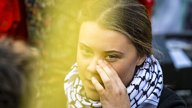 vdsk aktivistka Greta Thunbergov na demonstraci v Bruselu (5. jna 2024)