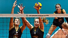 elmy Brno - C.S.M. Lugoj, úvodní utkání pedkola Vyzývacího poháru...