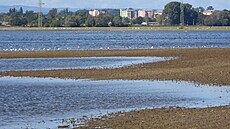 Pohled na lagunu na poli u Kojetína a Bezmrova na Perovsku