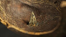 Jeden z hrot� �íp� nalezených v údolí �eky Tollense