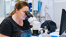 Píleitosti bez hranic: Jak Teleflex otevírá dvee k rstu a inovacím