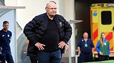 Kou Plzn Miroslav Koubek bhem zápasu s Pardubicemi.