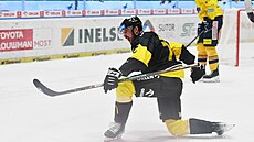 Litvínovský útoník Nicolas Hlava slaví gól proti eským Budjovicím.