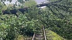 Povode pokodila i úzkorozchodnou elezniní tra na Osoblasku. (16. záí...