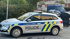 V pra�ské �im�nkov� ulici majiteli utekli dva rotvajle�i a usmrtili jiného psa...