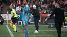 Slávistický kou� Jind�ich Trpi�ovský b�hem duelu Evropské ligy proti Ajaxu.