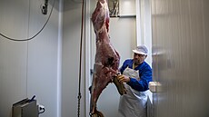 Na zámku v idlochovicích u Brna otevel státní podnik Lesy R zpracovnu a...