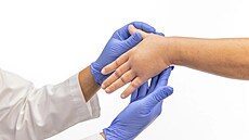 Ilustraní fotografie